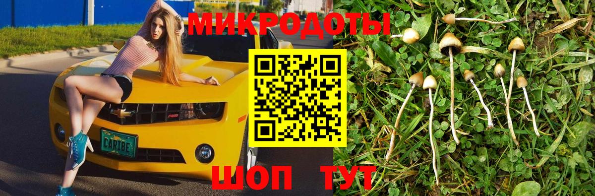 Псилоцибиновые грибы Psilocybine cubensis Орёл