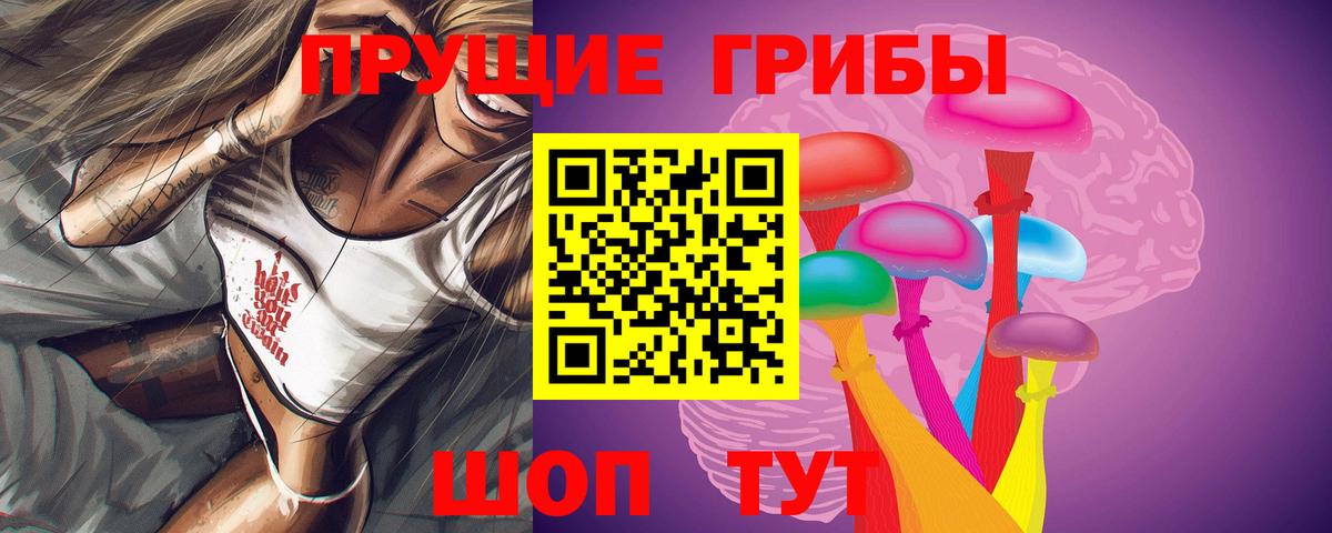 хочу   Вход с VPN  Орёл  Галлюциногенные грибы GOLDEN TEACHER 